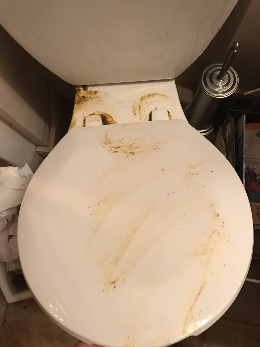 resortattrain's tweet photo. Who poo'ed on our toilet https://t.co/KMNmWVrXbO