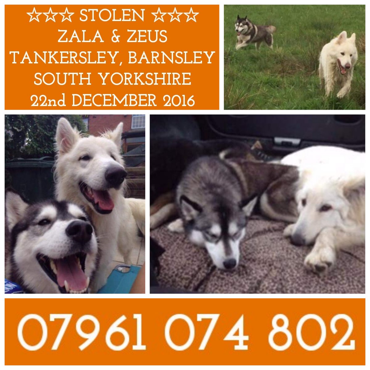 Lostbox - North East tweet media