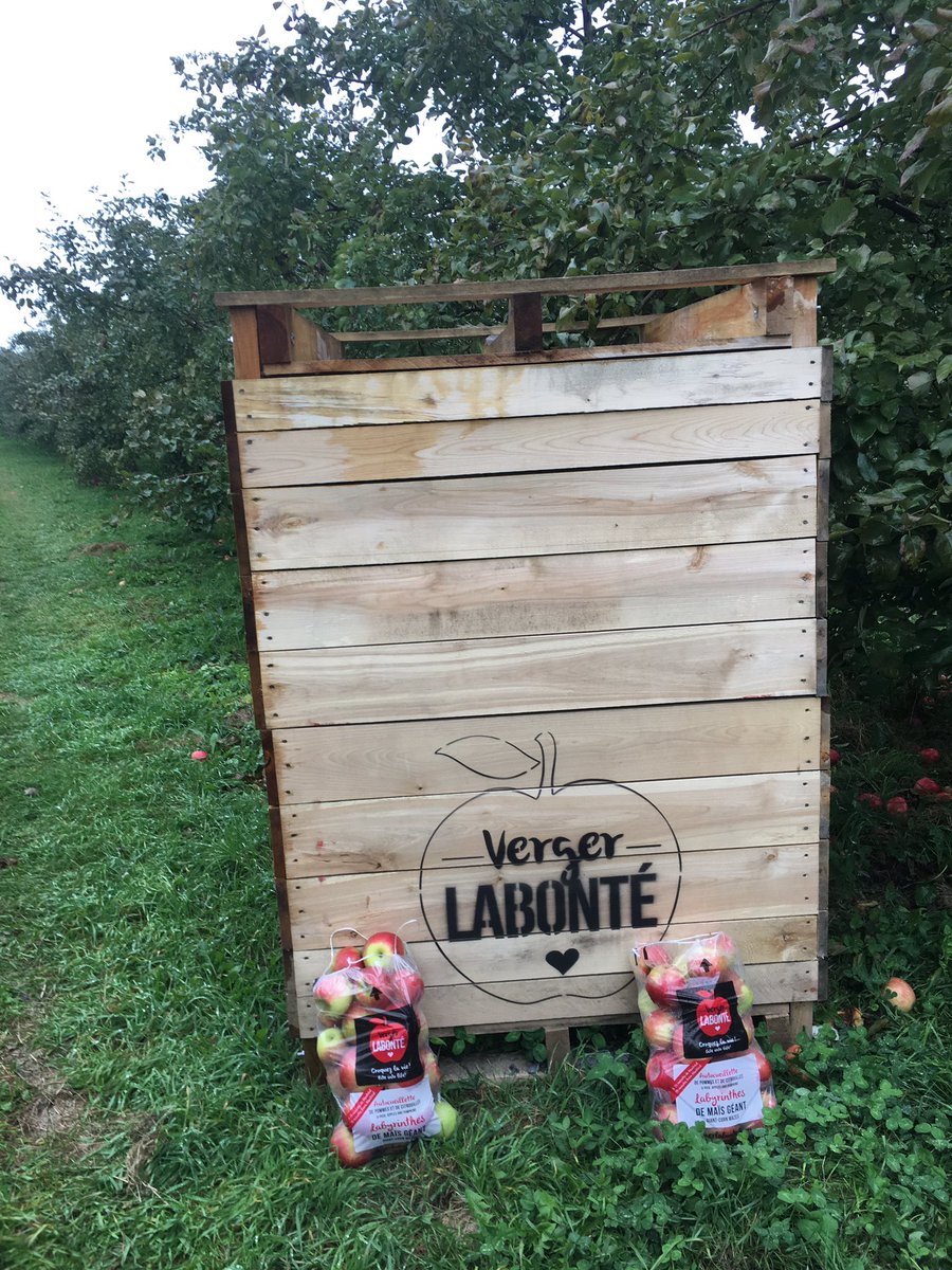Shonaa15's tweet photo. Apple picking 🍎🍎🍎🍏🍏🍏 https://t.co/gAgw3c09U2