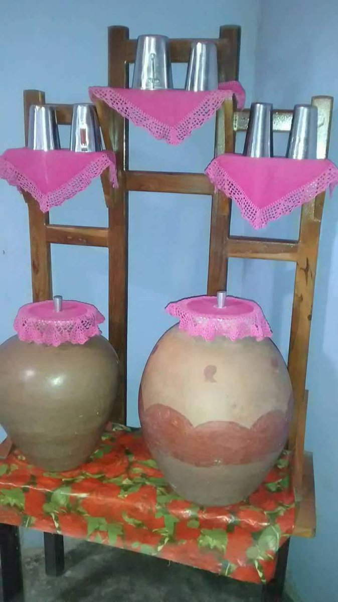 Se você nunca tomou água de um desses você não sabe o que é água boa!