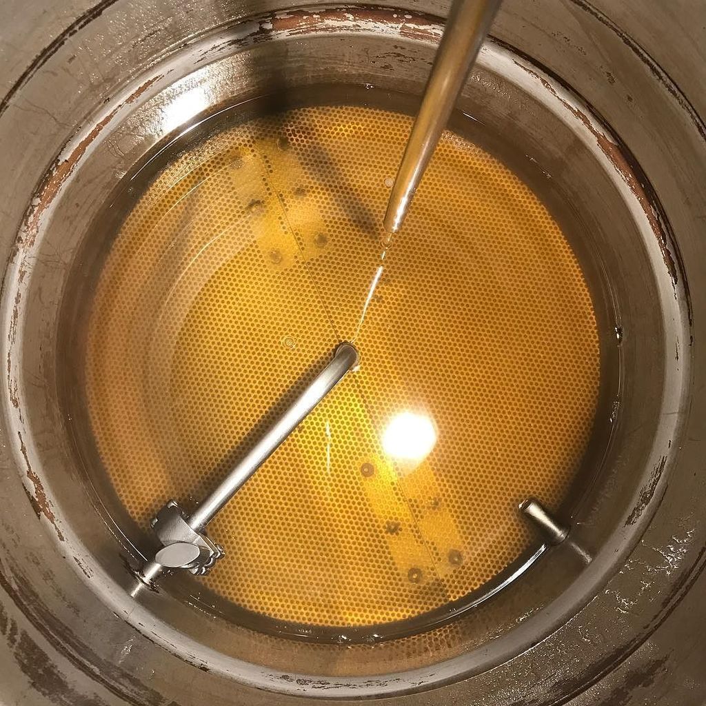 frybrews's tweet photo. Liquid Gold #frybrews #czechpilsener #yakimavalleyhops #saaz #homebrew https://t.co/WDlcrTdnSO https://t.co/0Vzp9leaGL