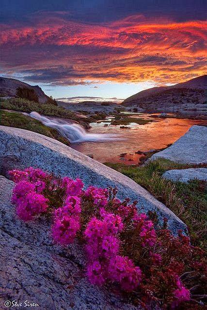 abapayson's tweet image. 