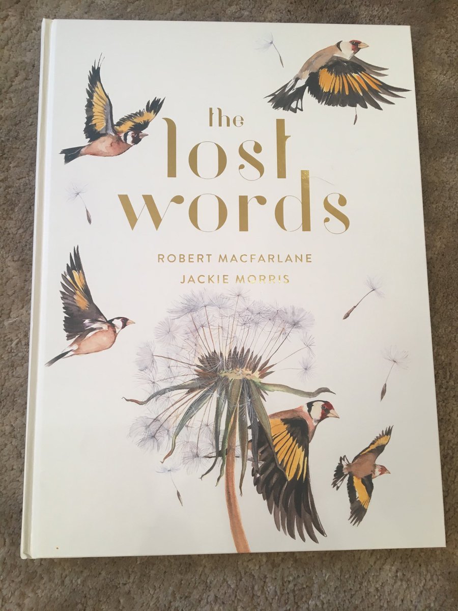 This is such a stunning book! <a href="/RobGMacfarlane/">Robert Macfarlane</a> @JackieMorrisArt Would make a perfect gift! ❤️