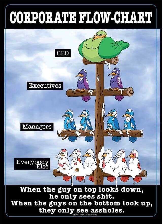 phutilation's tweet image. Fat asshole