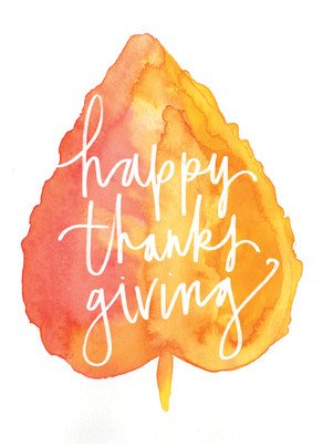 Iris Booth tweet media