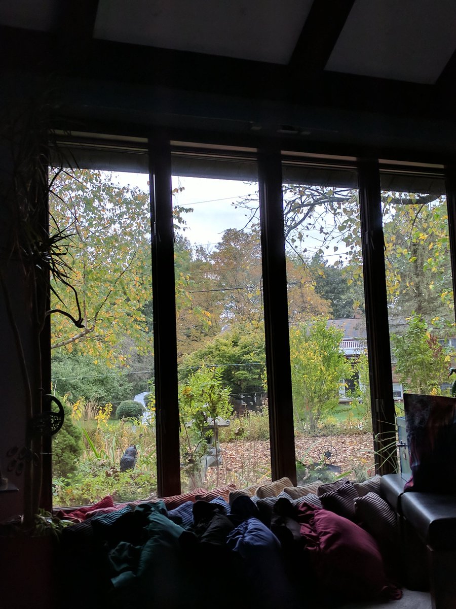 LoveLeslieLore's tweet photo. I love the #serenity of curling up to a nice #memoir while viewing the gorgeous hues of an #UpstateNY #fall. ๐ ๐
#GraduatesInWonderland https://t.co/UdGkIe832R