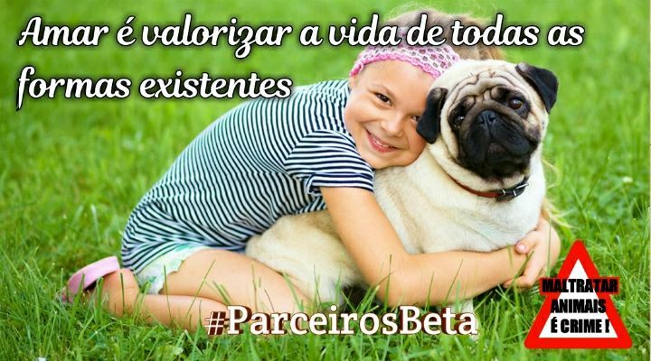 #ParceirosBeta
