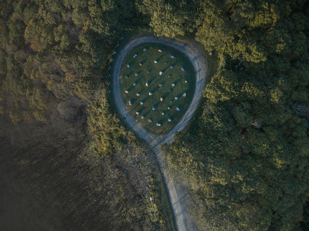 KarcherImagery's tweet photo. Flying over #WayahBald you can still see the scars of past fires 🔥 https://t.co/FSyLMKEM6W