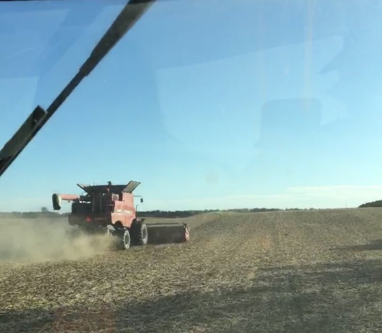 KurtisGodts's tweet photo. Bean harvest 2017 #Farm365 #Internationalharvester https://t.co/JdhTXd4fPs
