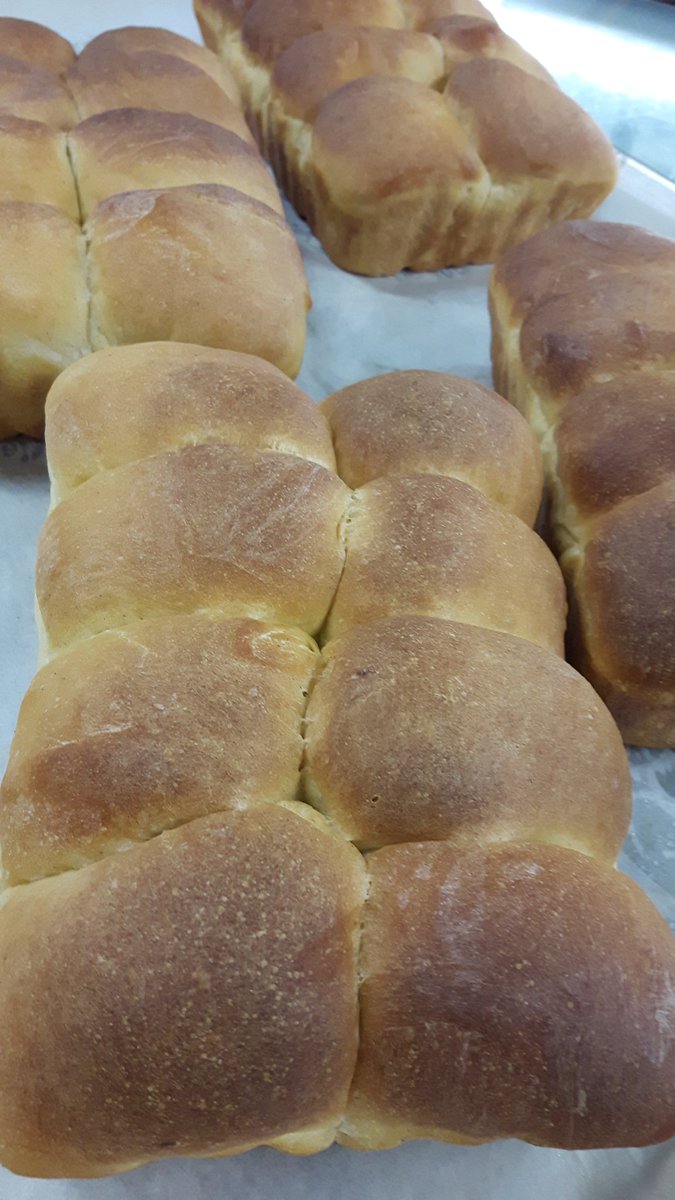 LeapingDeerFarm's tweet image. Fresh from the oven pumpkin dinner rolls. Cone and get yours today #leapingdeer #pumpkin #Thanksgiving #ingersoll #oxfordcounty
