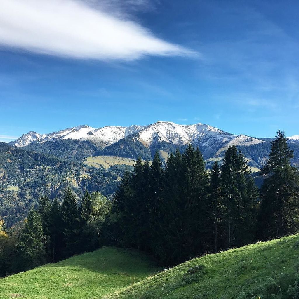 grbhr's tweet photo. Der Ausblick von der #Staufenalpe #Dornbirn #Vorarlberg #instagram https://t.co/CpGIWuU0Je https://t.co/Ryx9Zhxefv