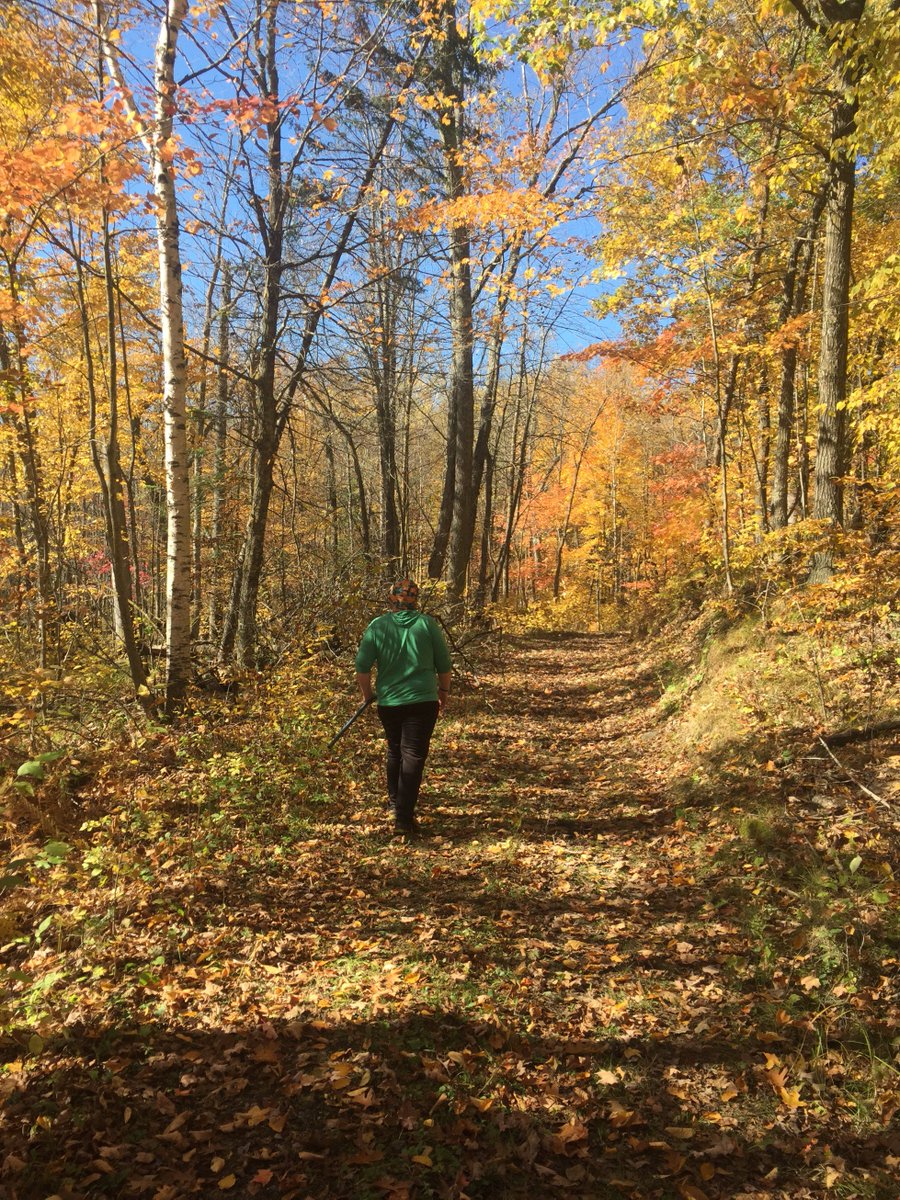 asplenium22's tweet image. Mille Lacs Kathio State Park with @Spaghetti_Bread #oaks #fallcolors #minnesota
