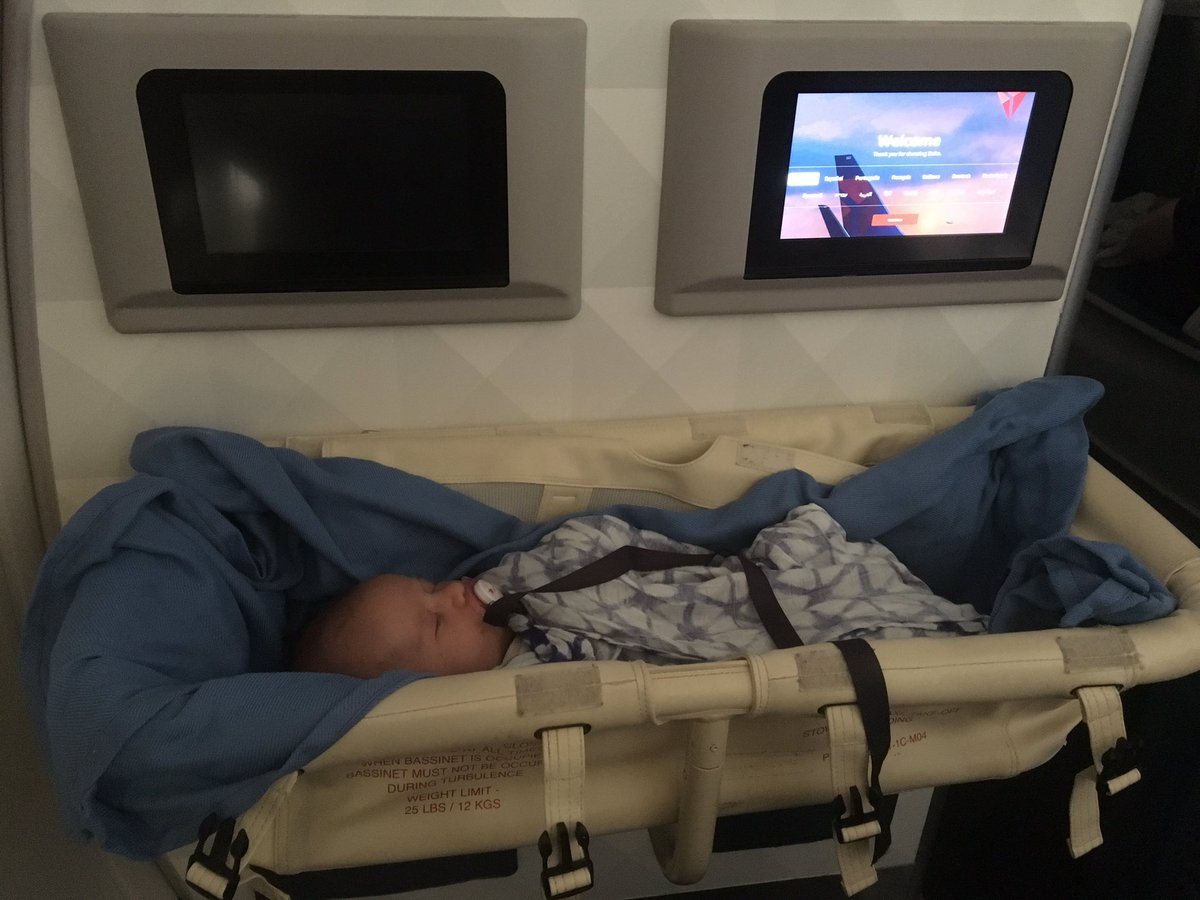 delta airlines bassinet