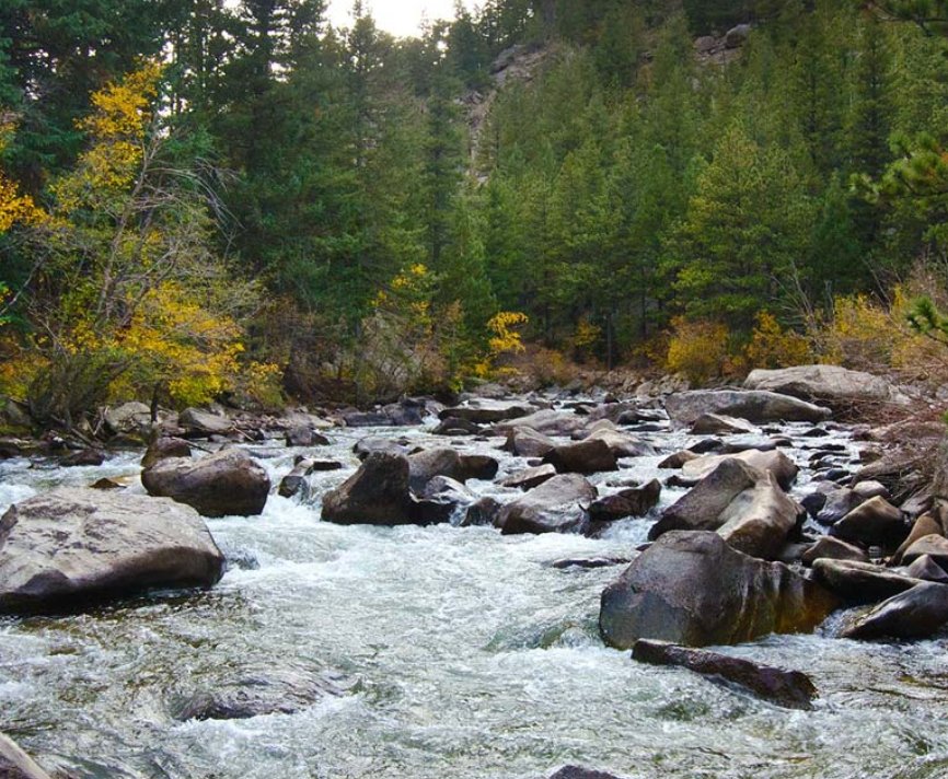 trout fishn the #missouri seaandstream.com/Montana/ #flyfishing #montana
