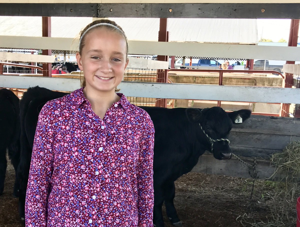 ka_riddle's tweet image. Well, not how we had hoped the day would go, but still proud of her for trying! #crazysteer #stilllookgood #beefshow