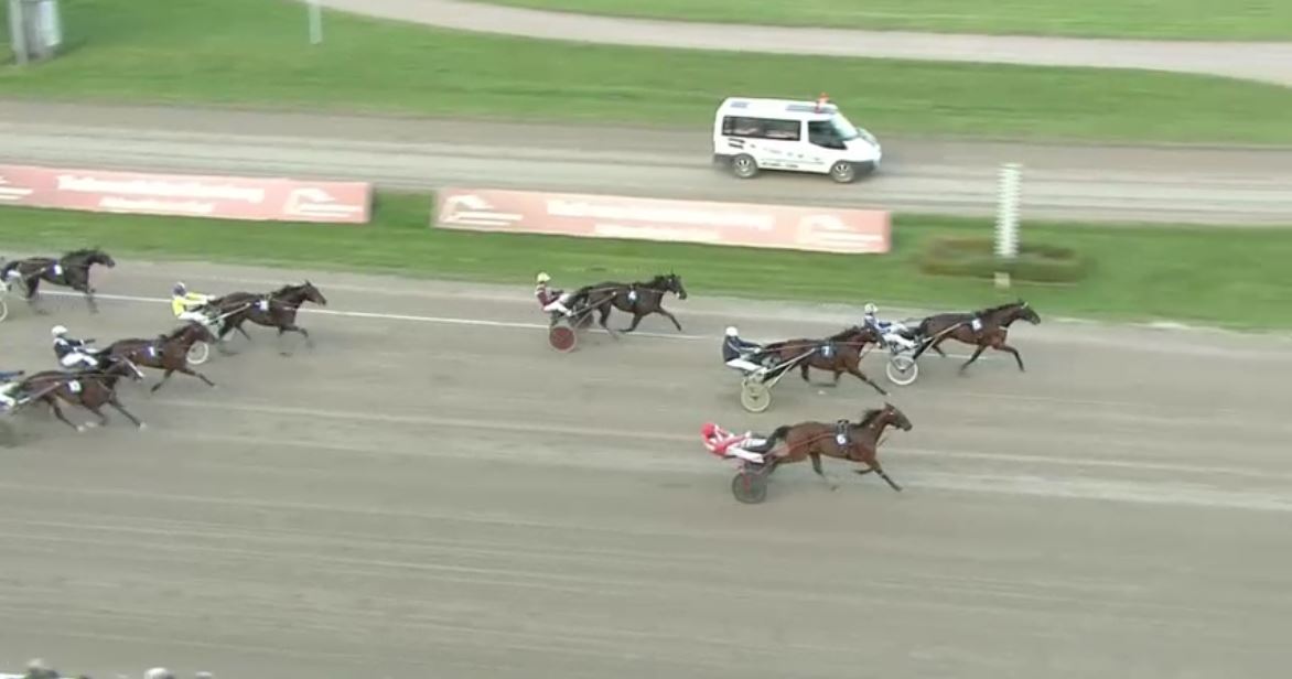 Joe_Zagari's tweet photo. #Diamanten 🇸🇪 #AdrianChip @StallBergh won GROSSER PREIS VON DEUTSCHLAND 🇩🇪 - Group I - #HamburgBahrenfeld with @ErikssonRacing https://t.co/pb6btQgsqQ