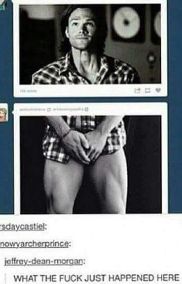 MrNeverShutsUp's tweet image. 