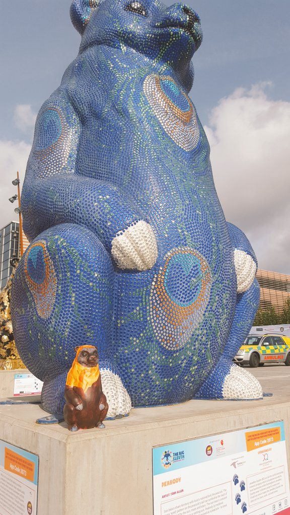 millenniumpoint's tweet photo. Mini @bearwok enjoyed meeting his larger friends at @TheBigSleuth farewell! We've loved having them all here one last time #TheBigSleuth 🐻🐾 https://t.co/wsoR9DpkrW