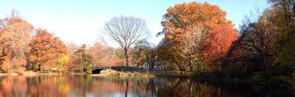 Fall in Central Park...