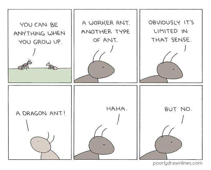 anything 