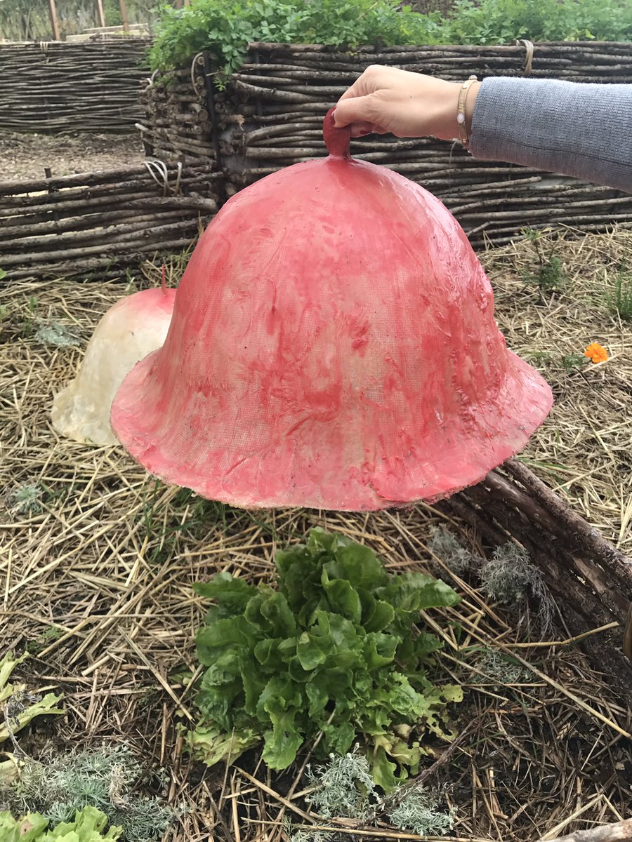 On voyage loin dans les #JardinsExtraordinaires de <a href="/ThierryHuau/">Thierry Huau</a> <a href="/villagesnature/">villagesnature</a> 👌🏼 #IMMOVNP 🌱🌳 
#EnImmersion 
#Tourisme #Ecologie