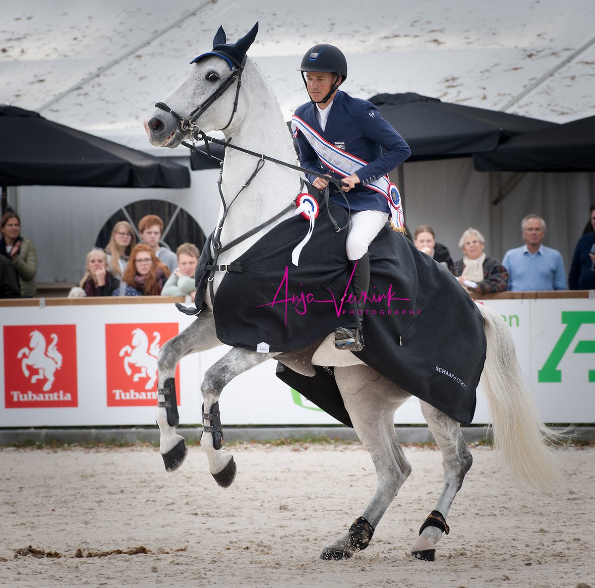 anjaveurink's tweet photo. Een waardig Nederlands kampioen @tim_lips @militaryboekelo #mbe17 https://t.co/huJ5c5uYLa