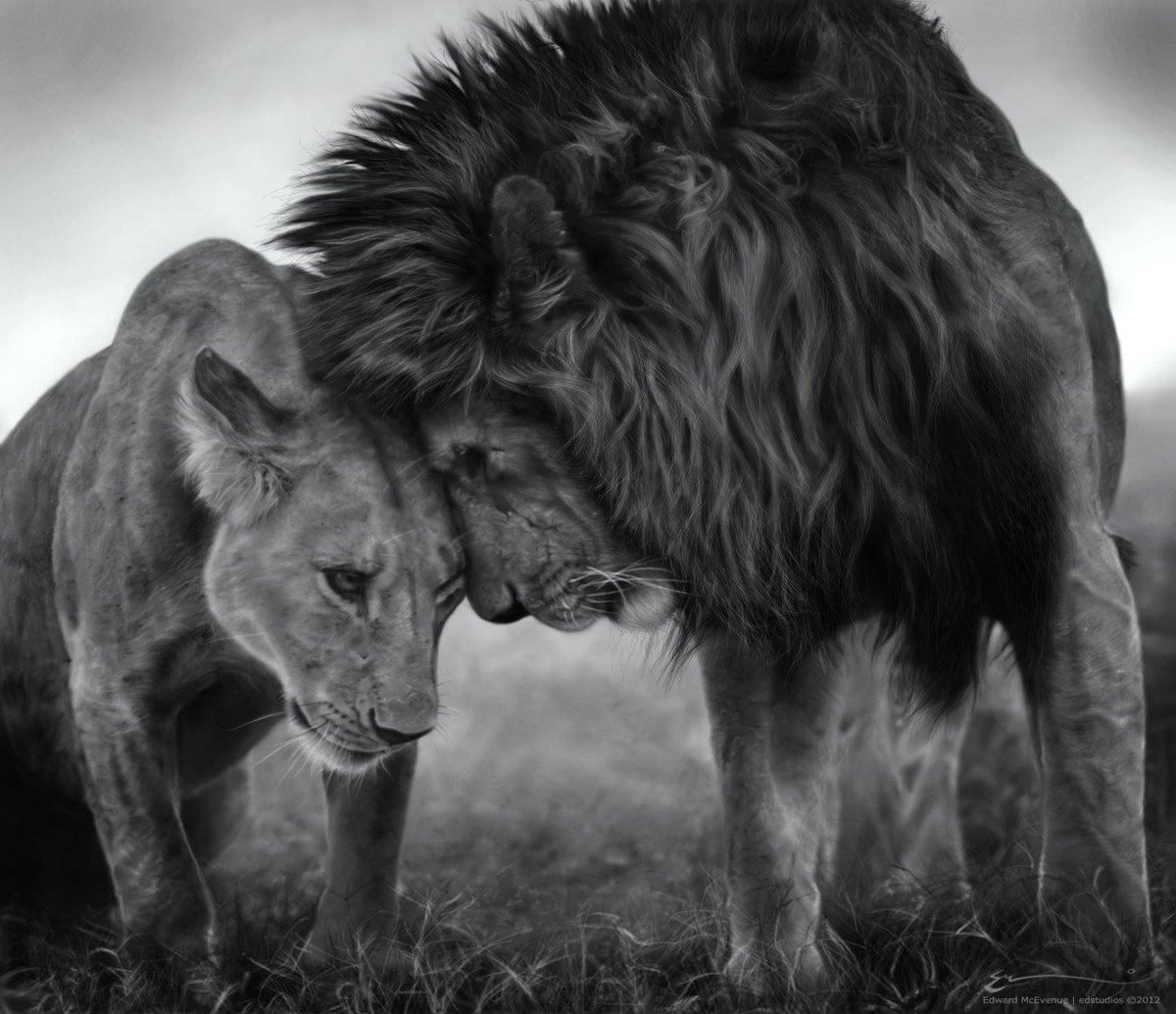 ramblingsloa's tweet image. Wherever you are
Whatever you do 
Be in Love ❤️

Rumi