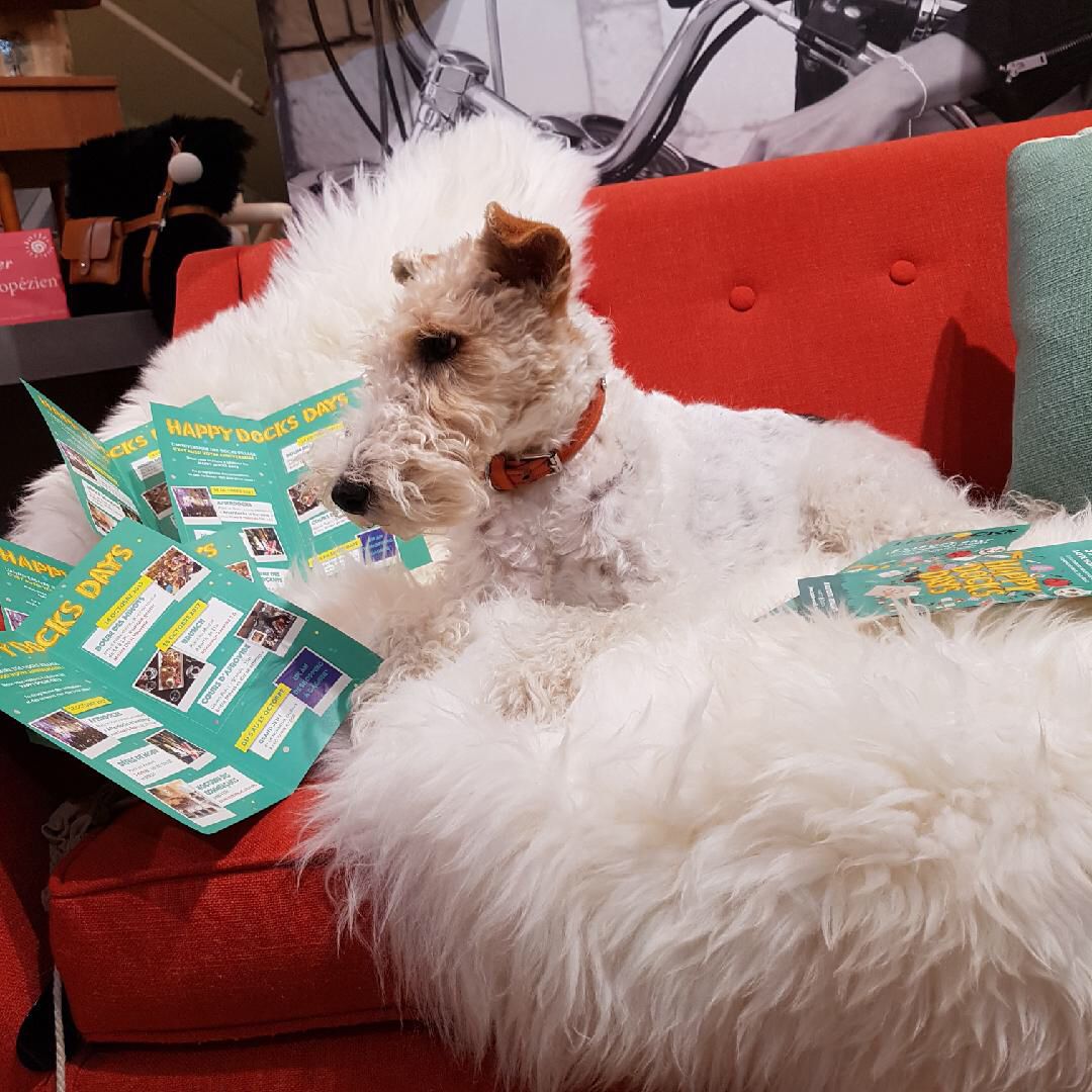 HAPPY DOCKS DAYS comme Josephine ;-) jouez et tentez de gagner 1 sac à main <a href="/ValentineAndCo1/">Valentine And Co</a> au grand jeu anniversaire des <a href="/DocksVillage/">Les Docks Village</a> !