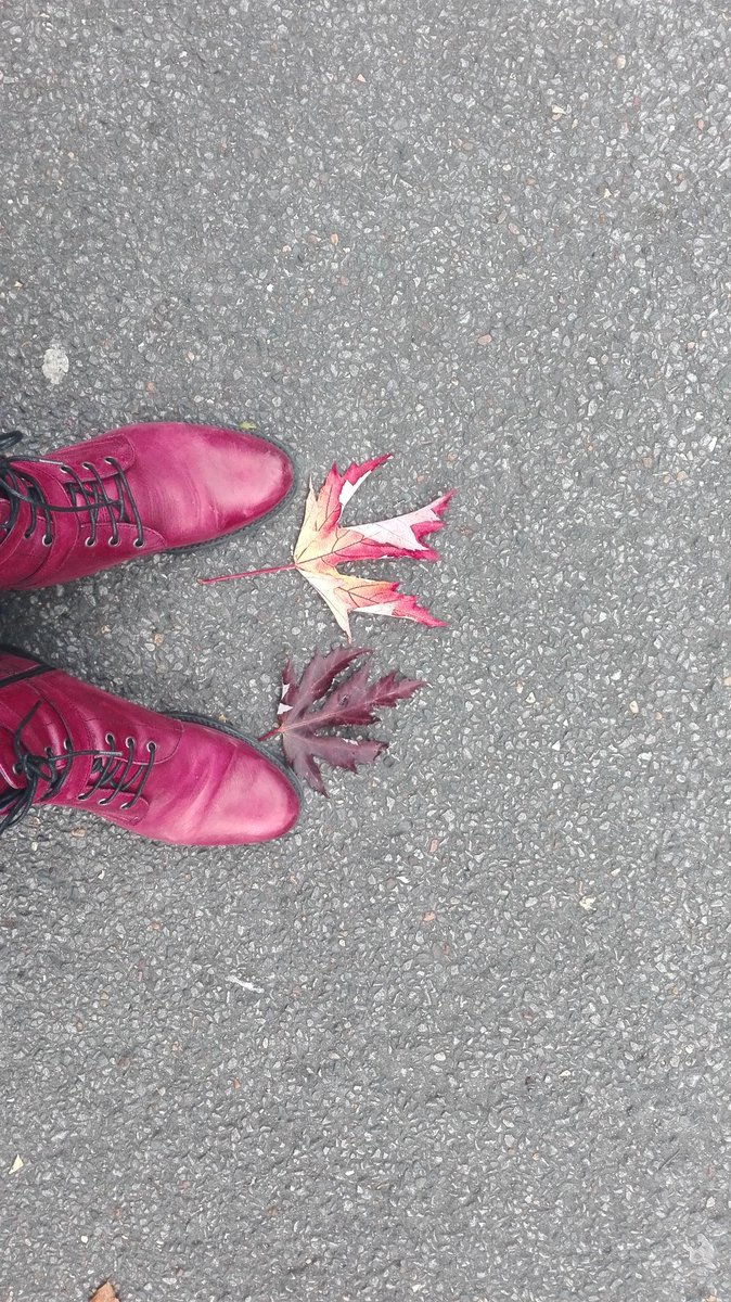 Pippipat's tweet photo. The autumm colours 💓 #patpie #piepat #footpat #patfoot https://t.co/BHHJDLjTd6