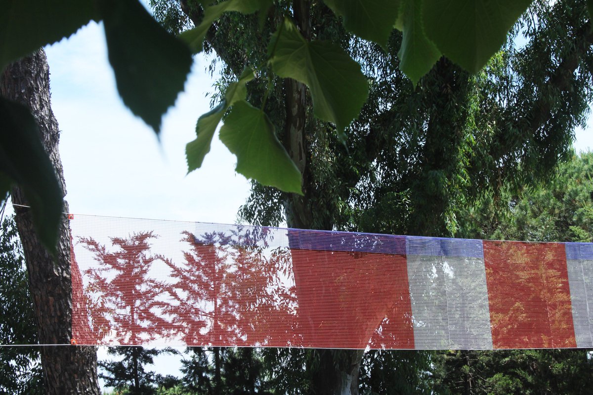 Museo Emblema tweet media