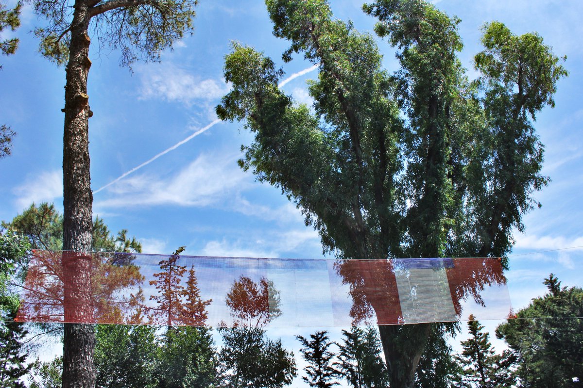 Museo Emblema tweet media