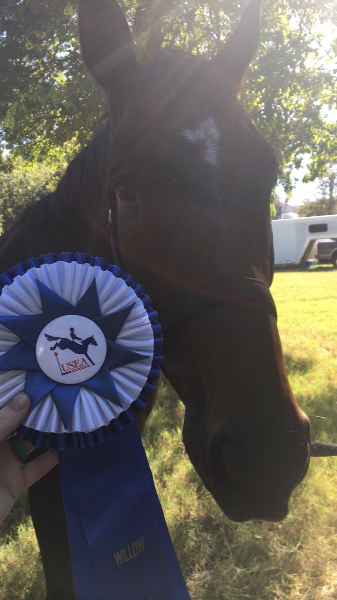 LFosterTX's tweet photo. #KramerFoster brought home his first blue yesterday at Novice adding only 1 rail to his winning dressage score #goeventing #nofailshere https://t.co/4007YFp6WO