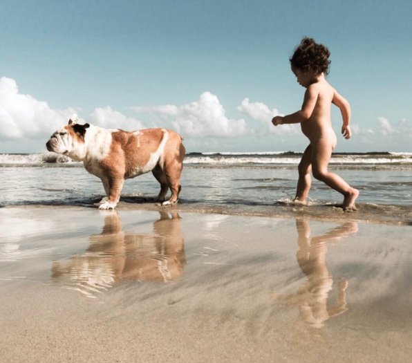 Duane Mclaughlin tweet media