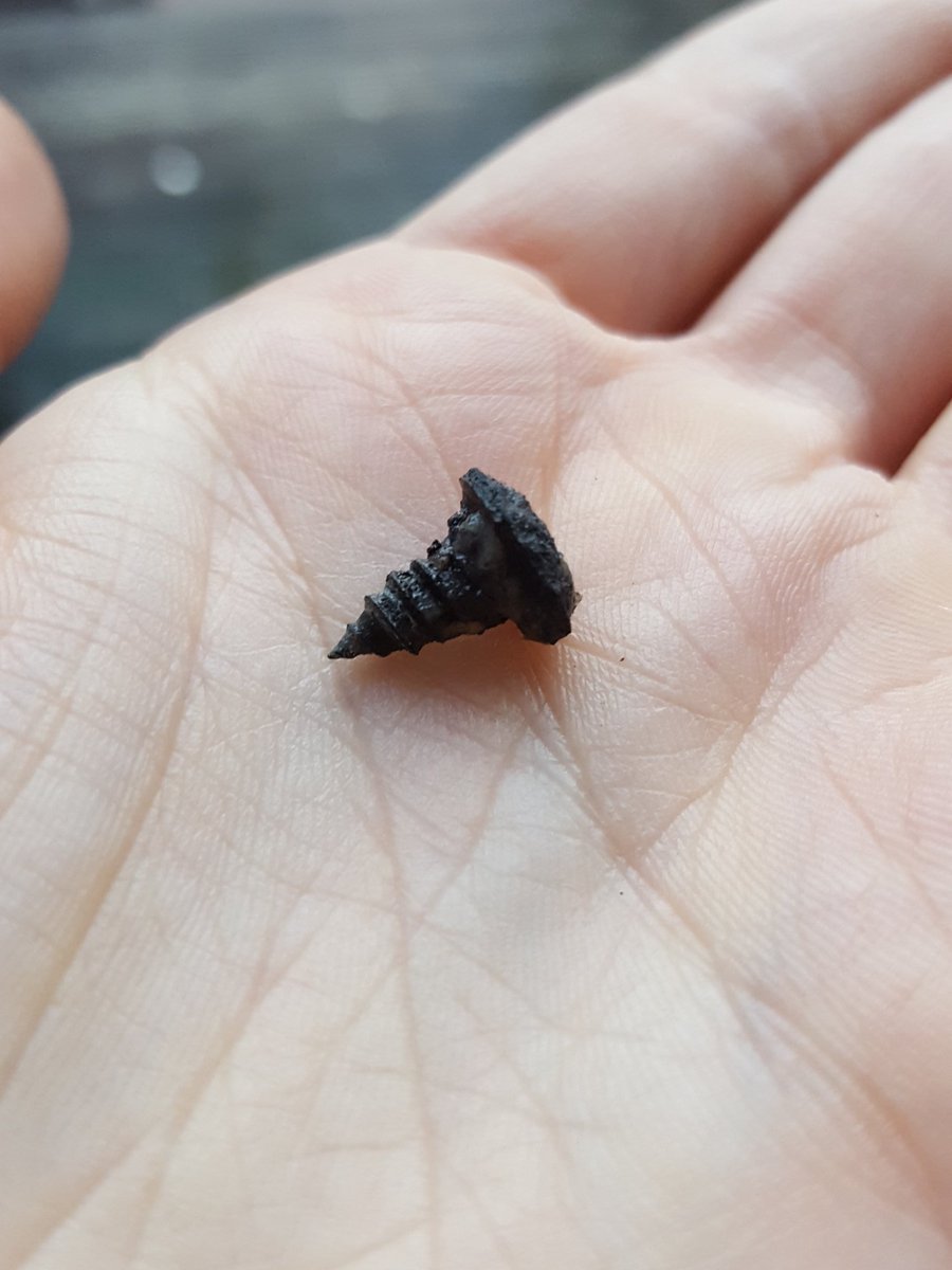 looloolissy's tweet photo. @LidlUK found a rusty nail in beef mince bought from Christchurch branch - wanted to bring your attention to this https://t.co/l6dlKvqSm0