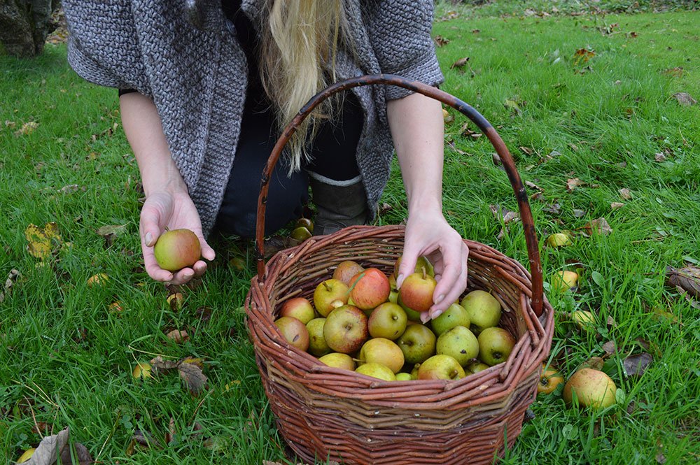 Tanya Anderson (@lovelygreens) on Twitter photo 🌿Video: How to weave a natural willow basket with <a href="/lovelygreens/">Tanya Anderson</a> -- what do you think? youtu.be/gXB5QunjMPY #homesteading #willow #crafty 🌿Video: How to weave a natural willow basket with <a href="/lovelygreens/">Tanya Anderson</a> -- what do you think? youtu.be/gXB5QunjMPY #homesteading #willow #crafty
