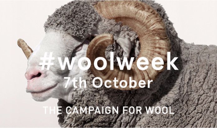 MakeItBritish's tweet photo. What are you plans for #woolweek ? Let us know @Campaignforwool https://t.co/n4tabMs1N5