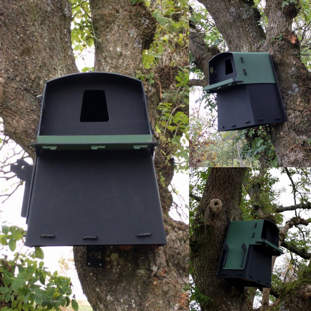zathras's tweet photo. Available for immediate occupancy. Quiet neighbours. Plentiful food supply. #barnowlbox https://t.co/Cr2sYmrX7E