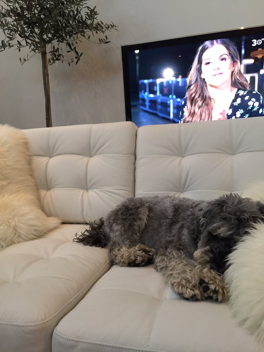 melaniemorris's tweet photo. Look @pauldunphy, I'd say #flumpy is dreaming of his #BimbleBuddy before #strictly. https://t.co/Mpt6tzk6Eb