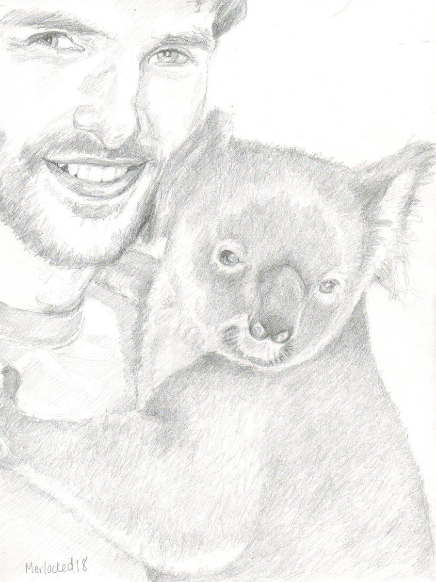 merlocked18's tweet photo. #ColinMorgan #Koala #pencilportrait https://t.co/zA97zh7wW5