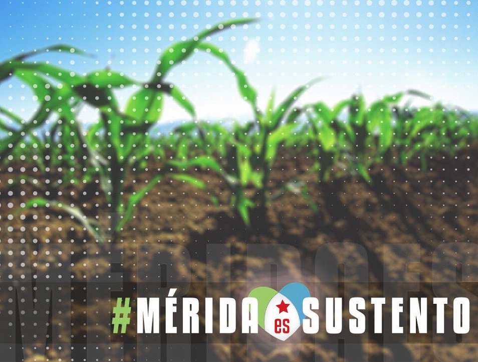 EnMarcha @GobAlexisR tweet media