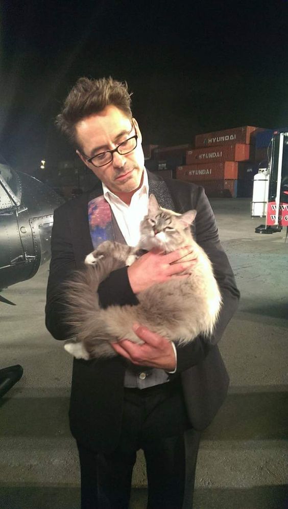 If you need a distraction for anything at all today, here's me with a cat. You're welcome.