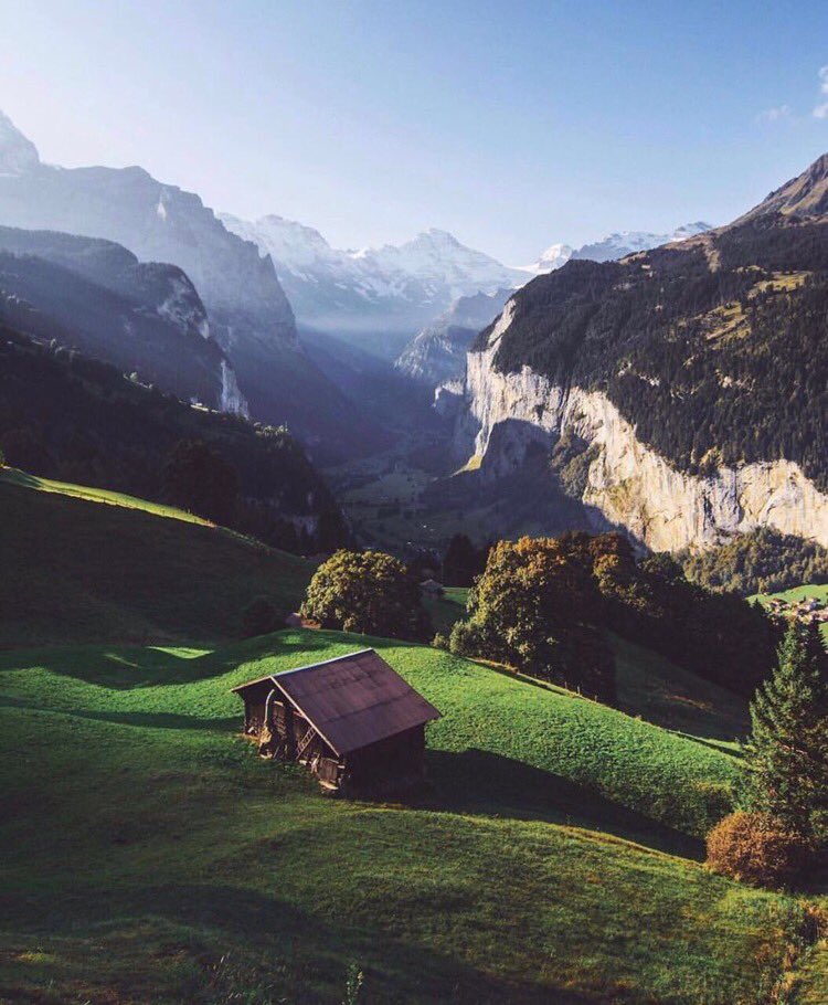 تجاهل أولئك الذين يجعلون حياتك أكثر مللًا وفشلًا، الذين يحبطونك ويصعبون أحلامك، ويصورون الحياة لك باردة مكررة .. الحياة نضرة مخضرة 💚