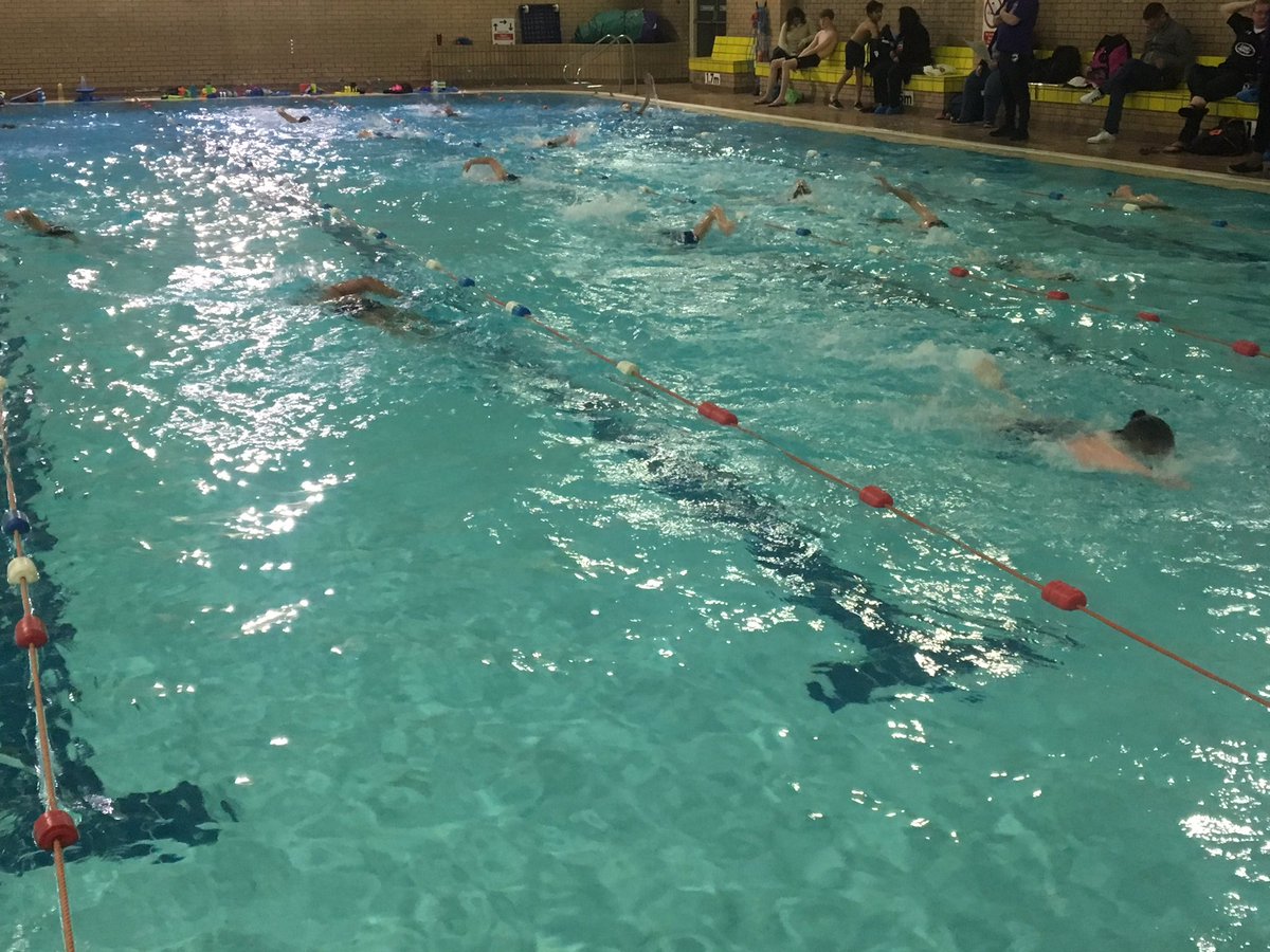 foxhollies (@foxholliessc) on Twitter photo 