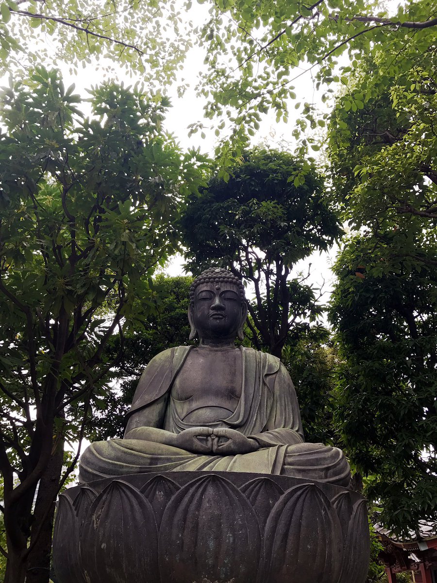 Raaavii's tweet photo. random pics from Tokyo https://t.co/YTMuXs2jsQ