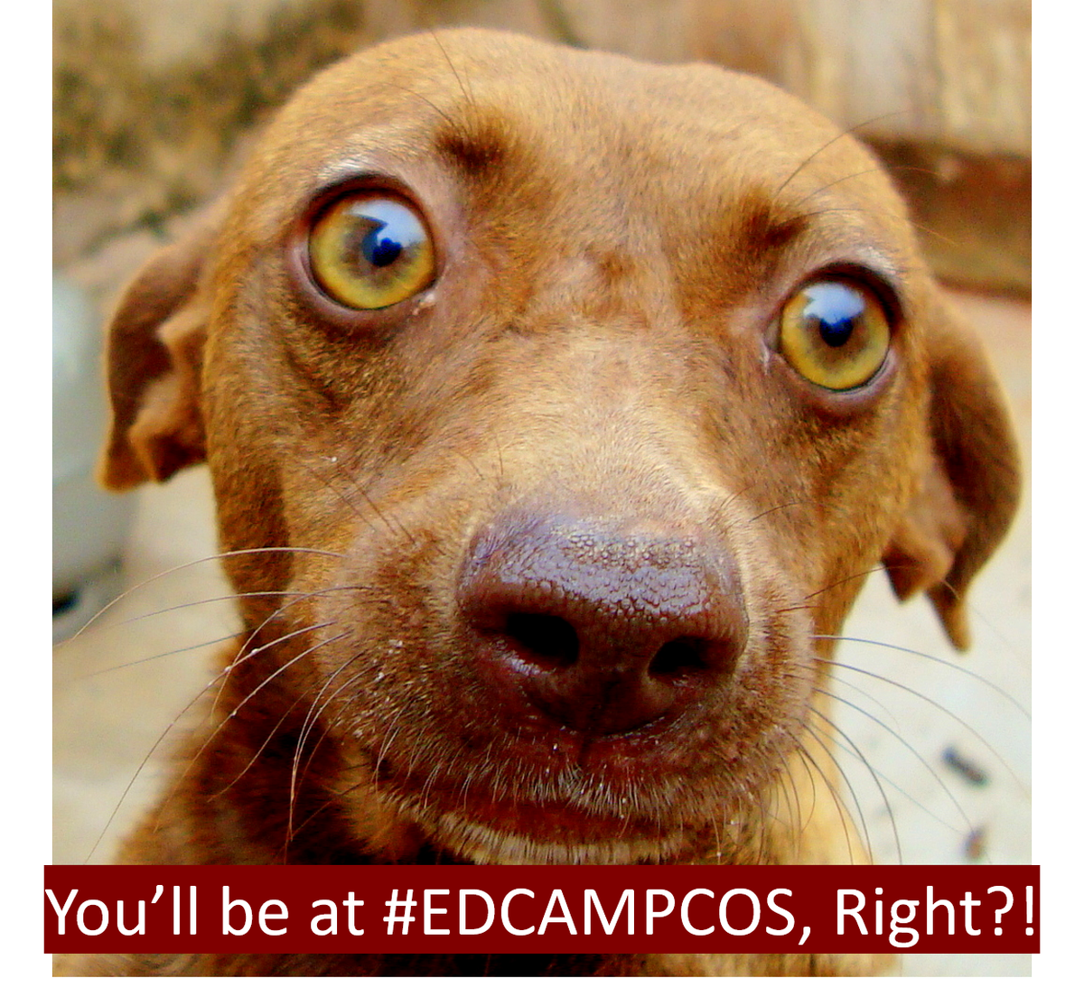 edcampcos's tweet image. Can't wait to see you at #EdCampCOS on 10/28 -it will be awesome!! eventbrite.com/e/edcamp-color… #edcampco #edcolo #asd20