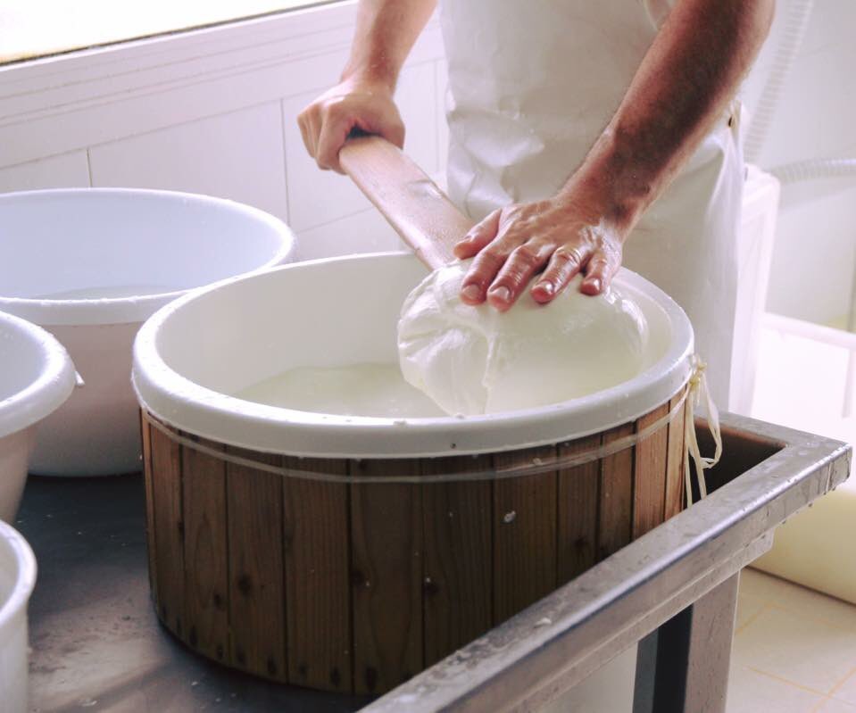SVPuglia's tweet photo. The art of making mozzarella nodes!
#southernvisionstravel #southernvisions #WeAreInPuglia https://t.co/AtJ7xyo9gj