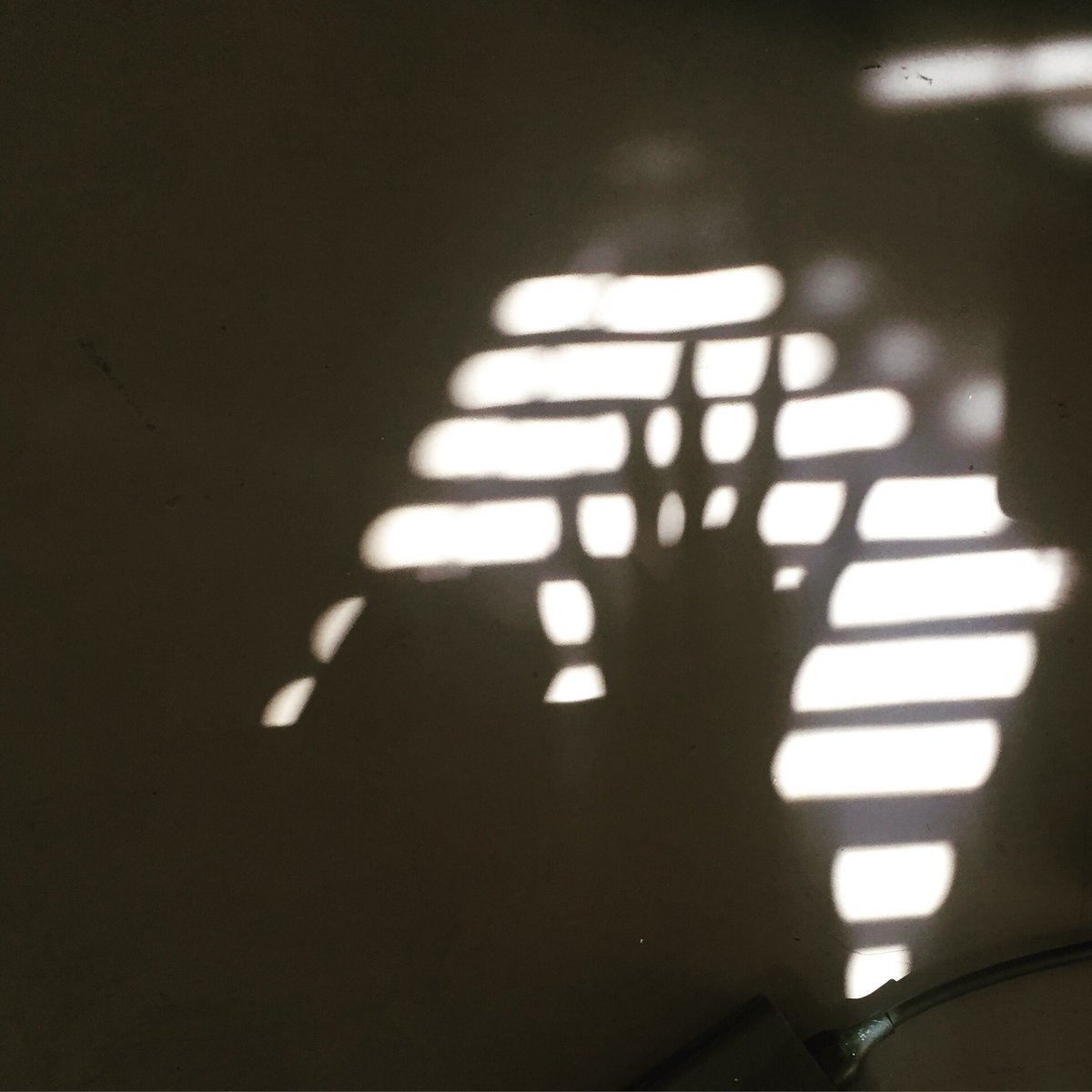 Opened last weekend to big warm amazing crowds! <a href="/ZombieJoes/">Underground Theater</a> #horror #losangeles