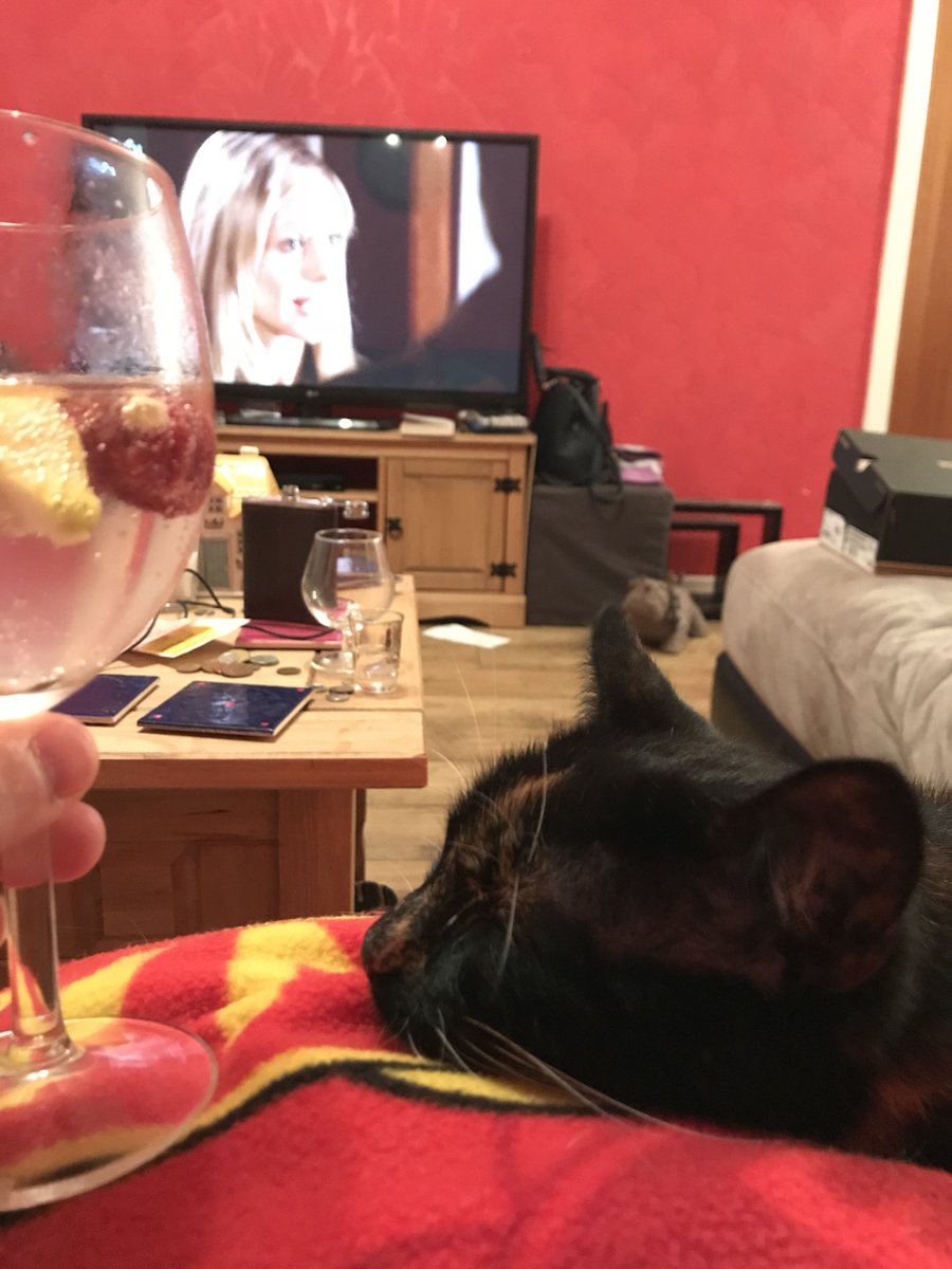 conradder's tweet photo. So @cheesemunk and I are drinking gin and watching buffy... the cat is sleeping on my leg.. #hygge #offworktomorrow https://t.co/RaA6RXnoFs