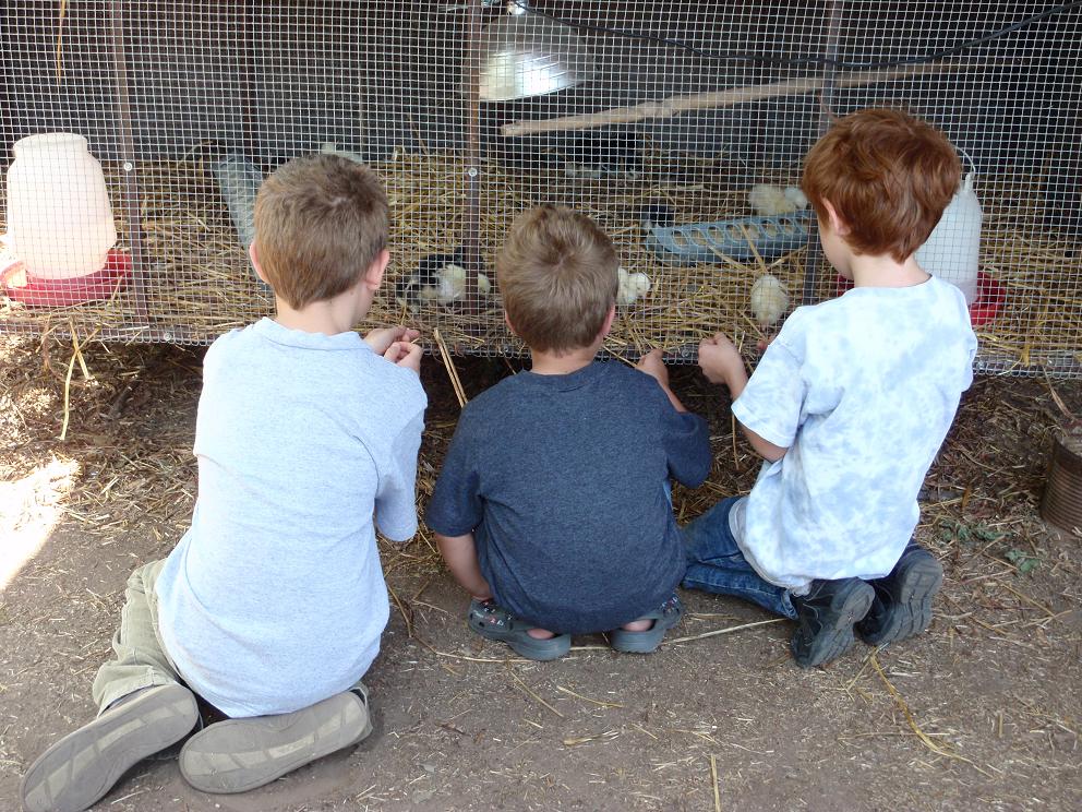 #Food, #drinks, #music <a href="/GreenCornProj/">Green Corn Project</a> Fall #Festival <a href="/BoggyCreekFarm/">Boggy Creek Farm</a> #enter to #win a pair of #tickets tiny.cc/gcfest2017