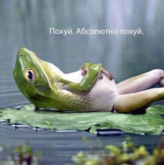 AKuzlo's tweet photo. https://t.co/t6RDS1xGHK